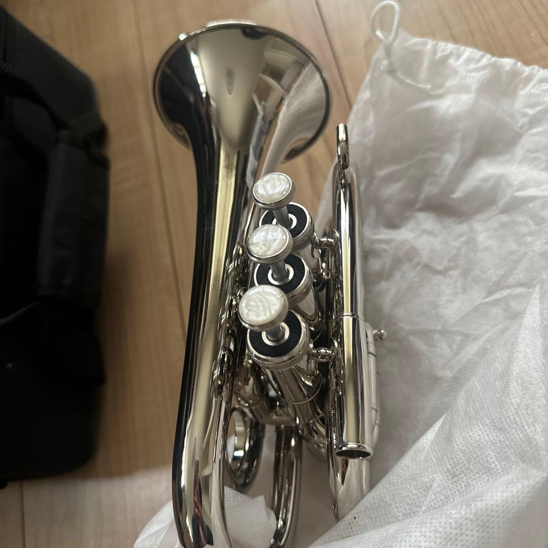 Bbミニポケットトランペット本体 7Cマウスピース付き初心者向け金管楽器