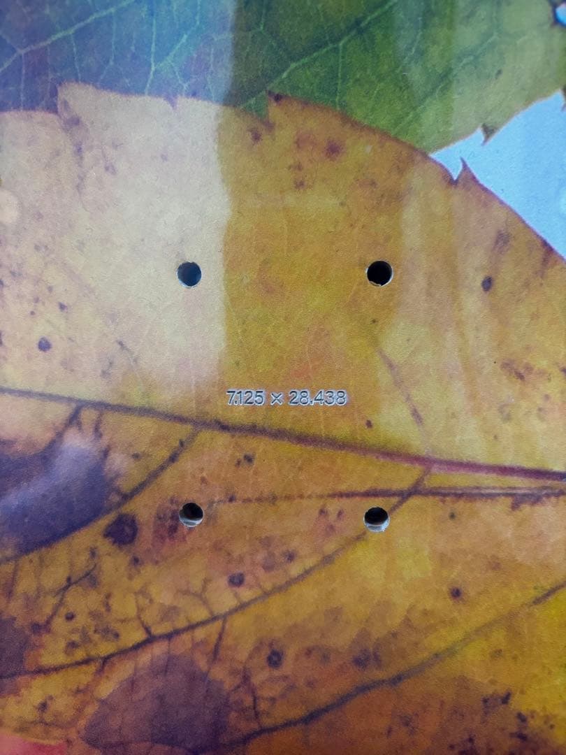 Lesque 7.125デッキ　1000円値下げ中です。