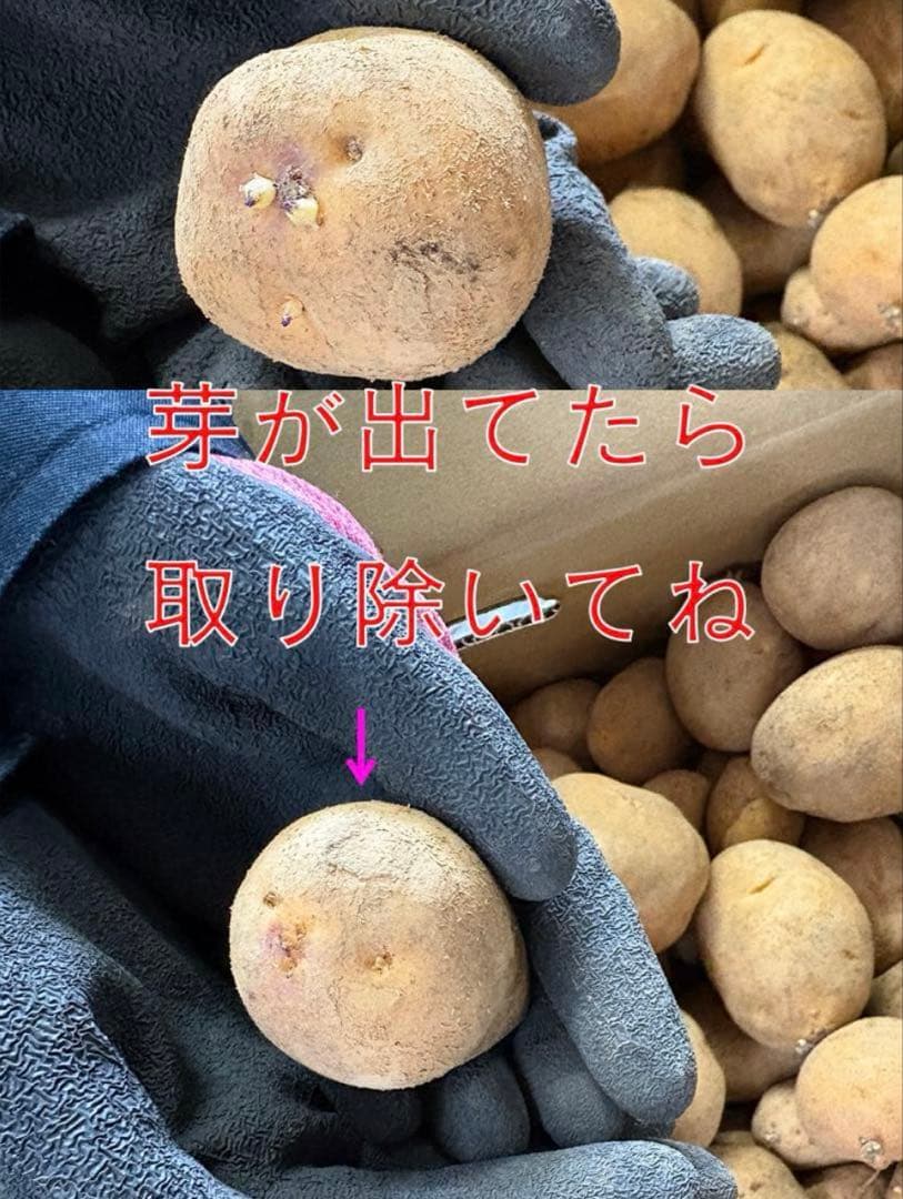 【まちゃこ】北海道産じゃがいも（インカのめざめ）　大小混み20kg