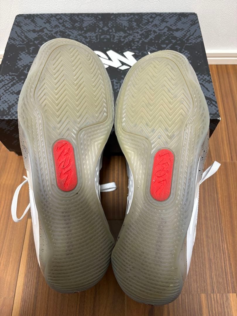 【美品】ジョーダン ザイオン3 PF Zion 3 バッシュ　NIKE ナイキ