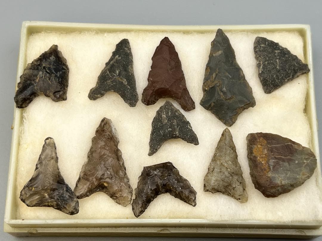 【海】石器時代 矢尻 打製石器 黒曜石 縄文時代 イグアノドン化石骨（断面）