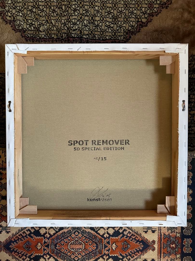 Kunstrasen クンストラーゼン 「Spot Remover」2015