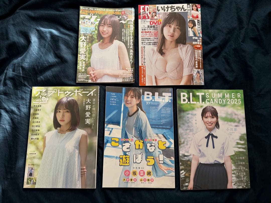 日向坂46 大野愛実 生写真 20コンプ 80枚セット 関連グッズ オマケ多数