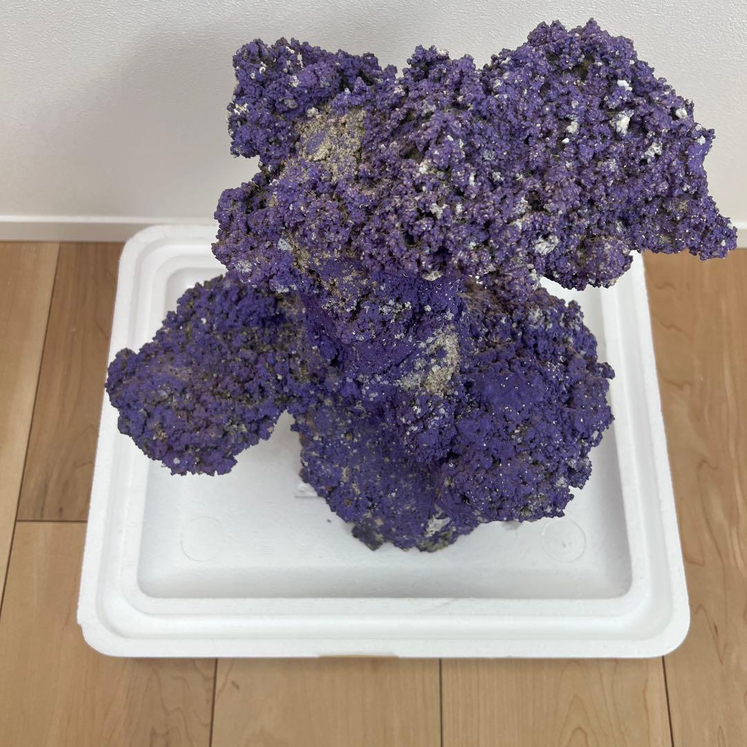 人口ライブロック 偽岩 レプリカライブロック サンゴ 人口 海水 水槽 ②