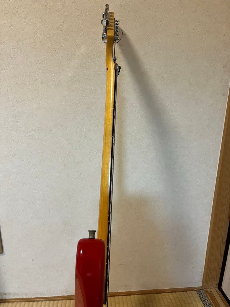 FERNANDES (フェルナンデス) ブラッドギルスモデル