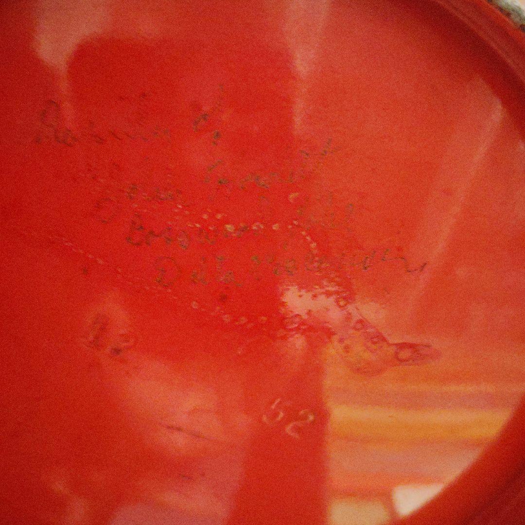 s*s様 Coleman 赤 200A