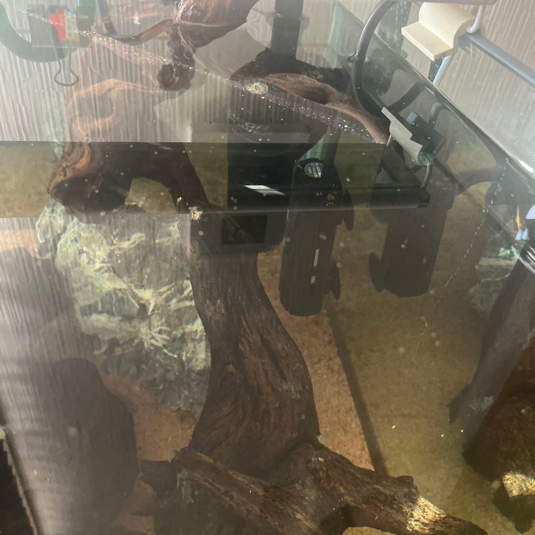 90センチ水槽、棚、ジェックス9012、ライトフルセット