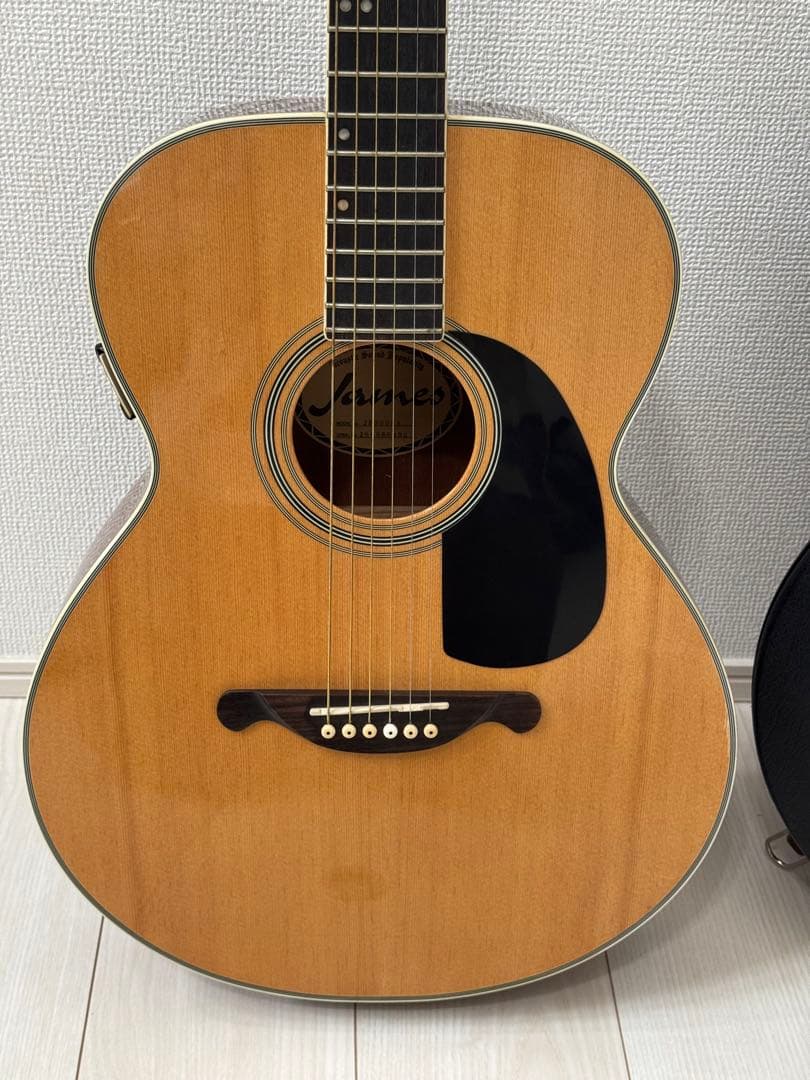 【お得】James JF350NAアコースティックギター ハードケース付き