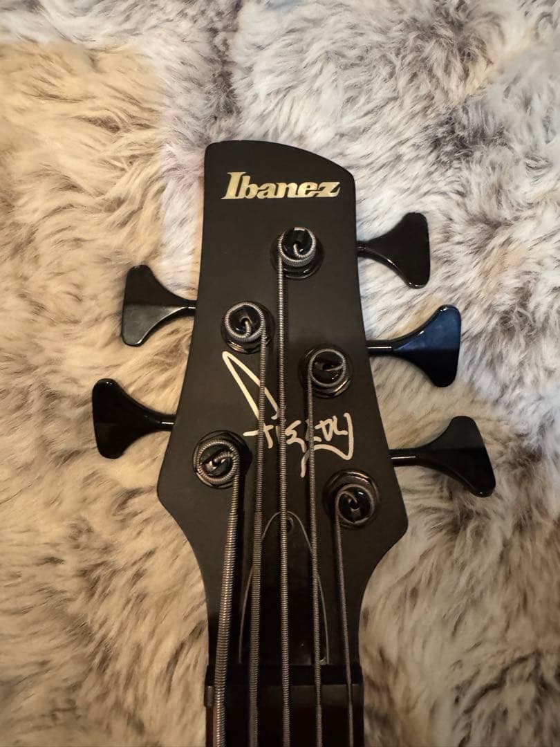 ベース Ibanez signature model fieldy K5-BKF