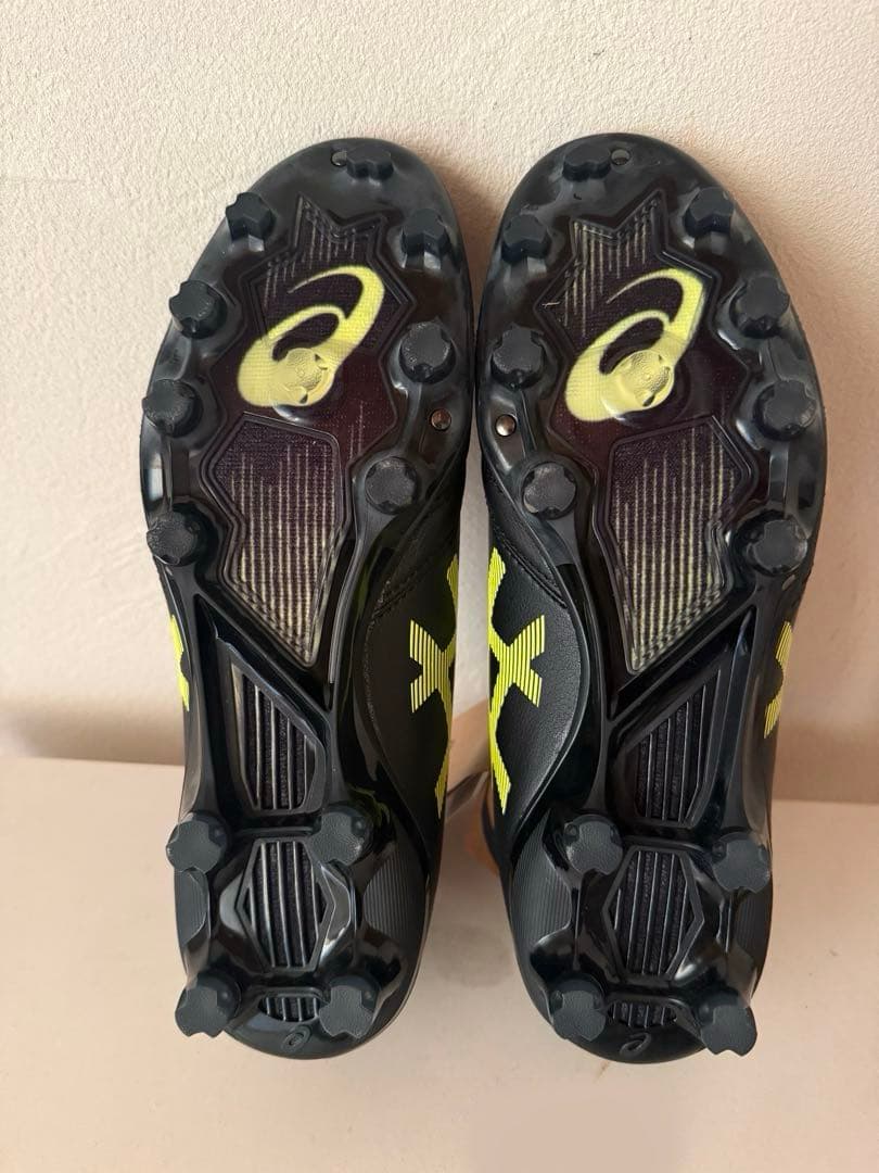 最終値下げ！新品asics DS LIGHT X-FLYPRO 24.5cm