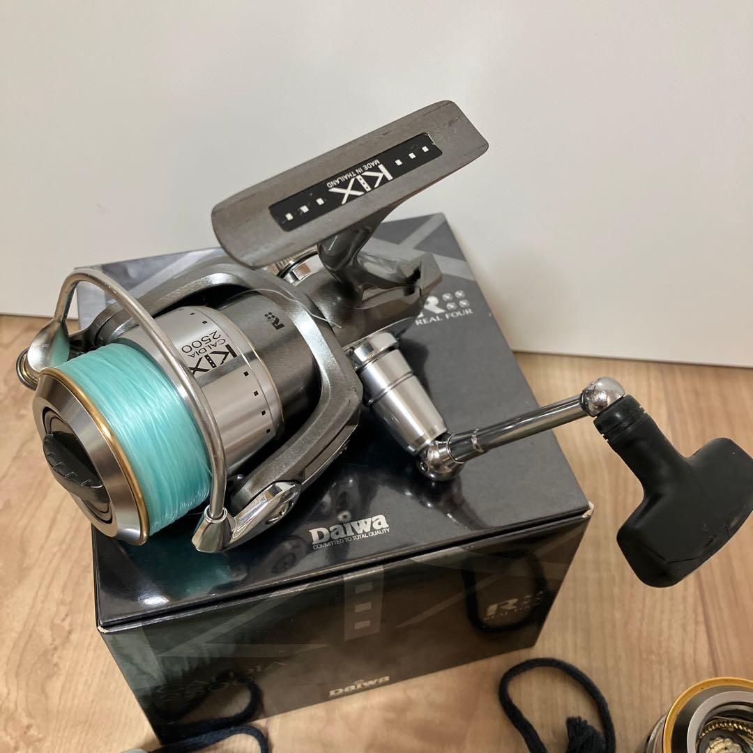 カルディアキックス2500