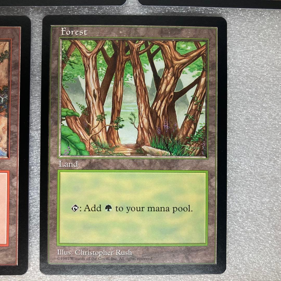 【MTG】基本土地 APAC② 5枚セット