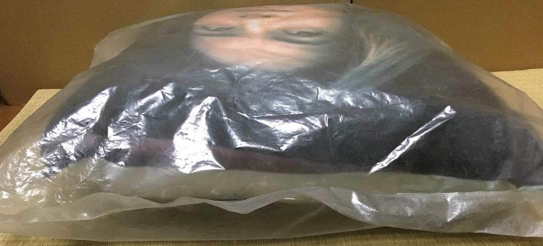 キムタク　木村拓哉　クッション　トヨタ　RAV4　ノベルティー