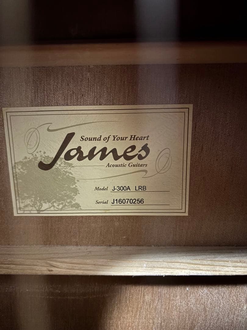 James アコースティックギター ライトレッドバースト　J-300A LRB