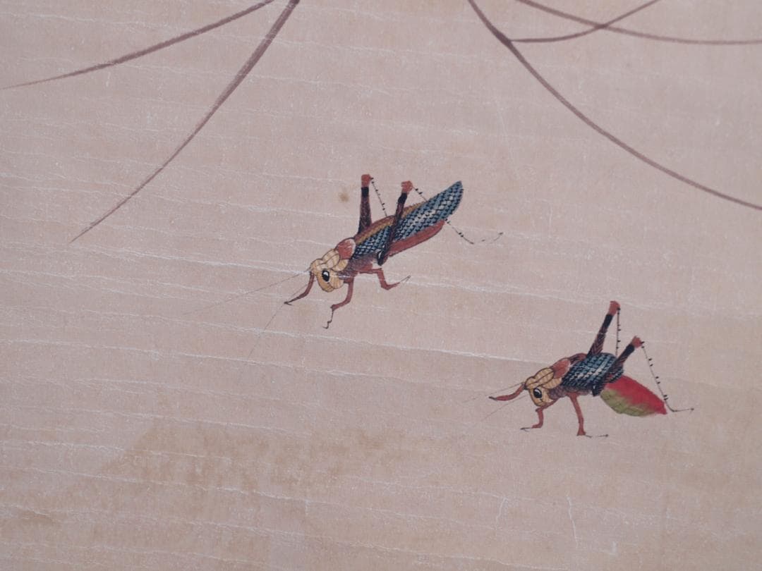 骨董市仕入れ品　中国近時代の肉筆掛軸　齐白石作 激安骨董品 DE784A7-3