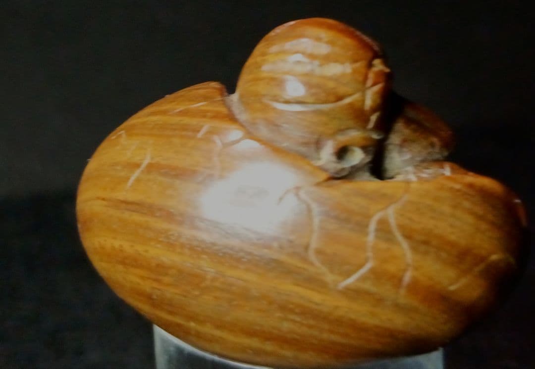 木彫 根付 「孵化する烏天狗」在銘