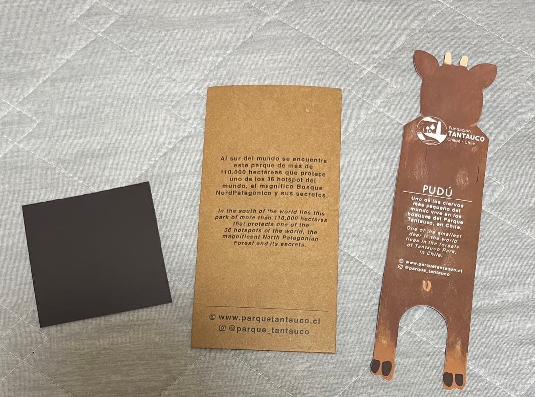 大阪関西万博　チリ　ノベルティセット　トートバッグ　ナップサック　ノート　ペン等