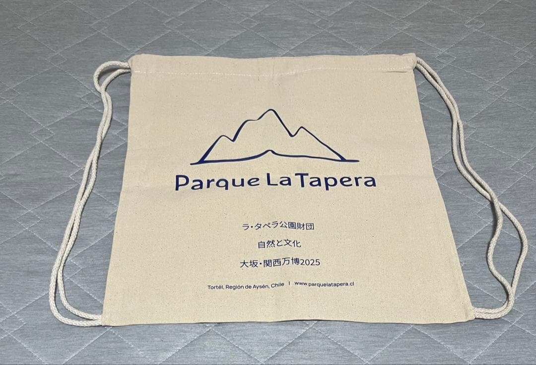 大阪関西万博　チリ　ノベルティセット　トートバッグ　ナップサック　ノート　ペン等