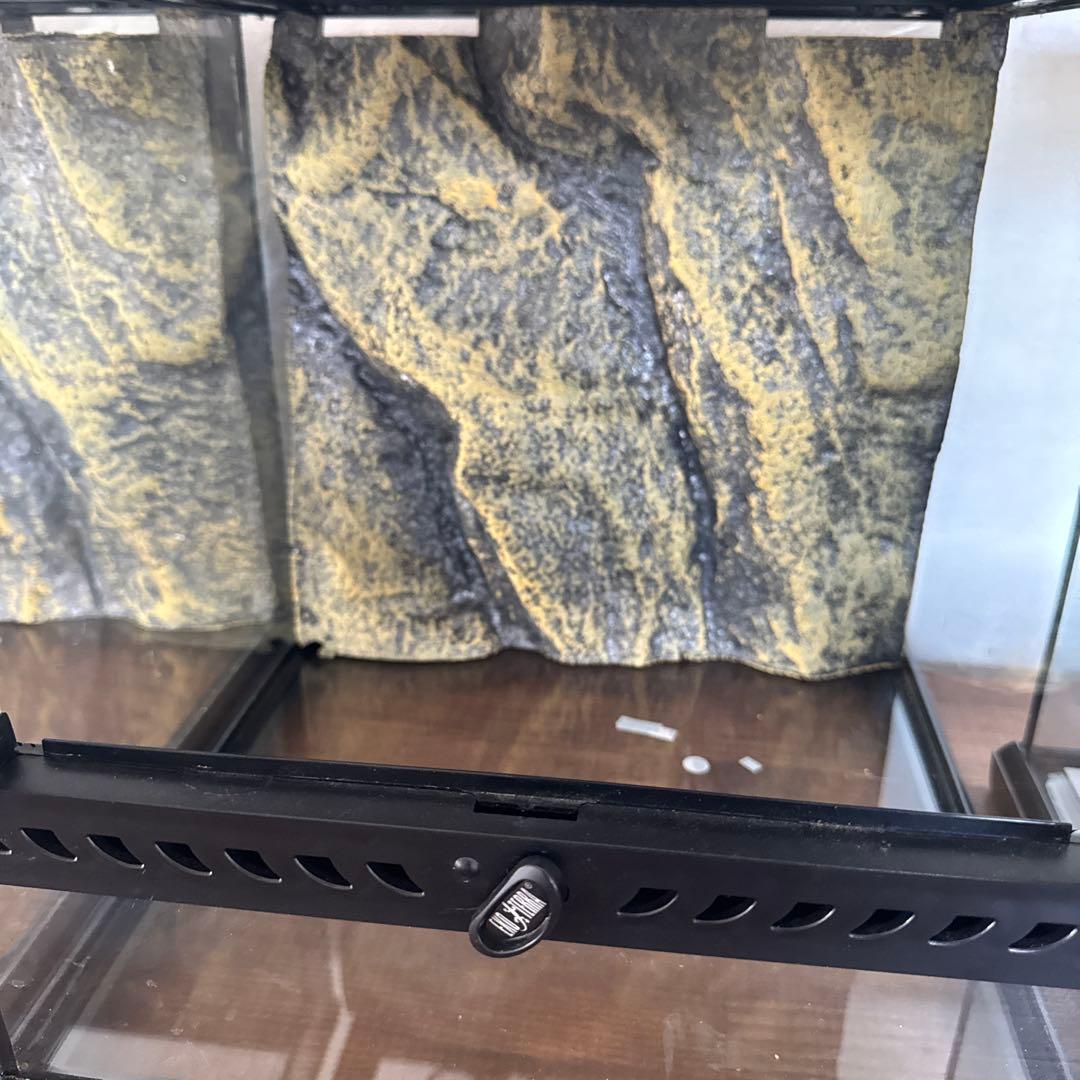 GEX エキゾテラ グラステラリウム3030 2個