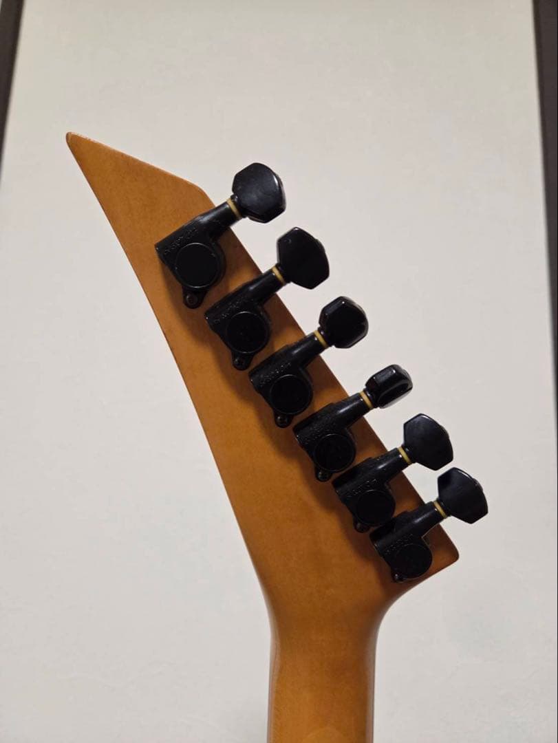 FERNANDES TEJ エレキギター