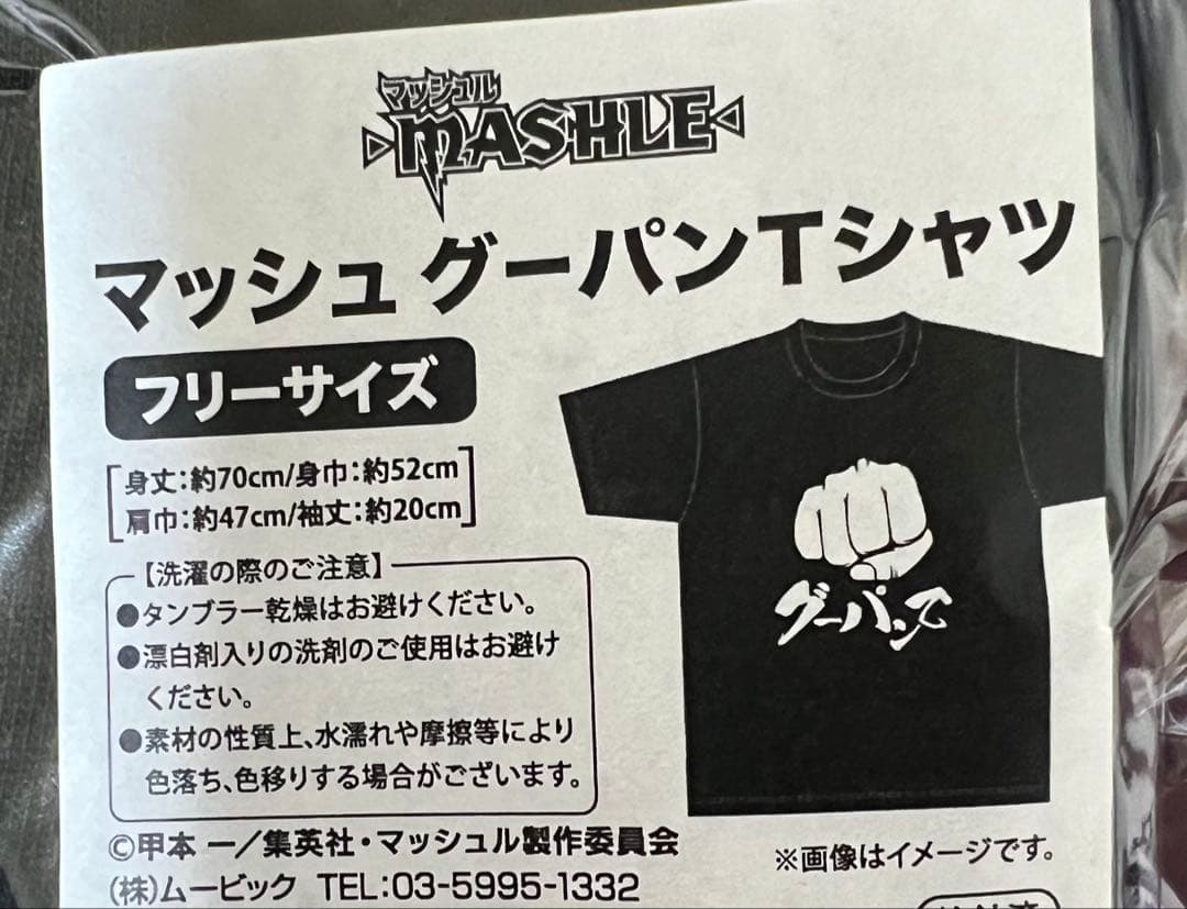 マッシュル マッシュ セット