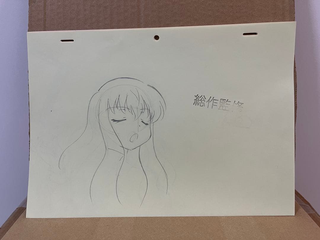 ゼロの使い魔 セル画 原画 動画 ルイズ2 釘宮理恵