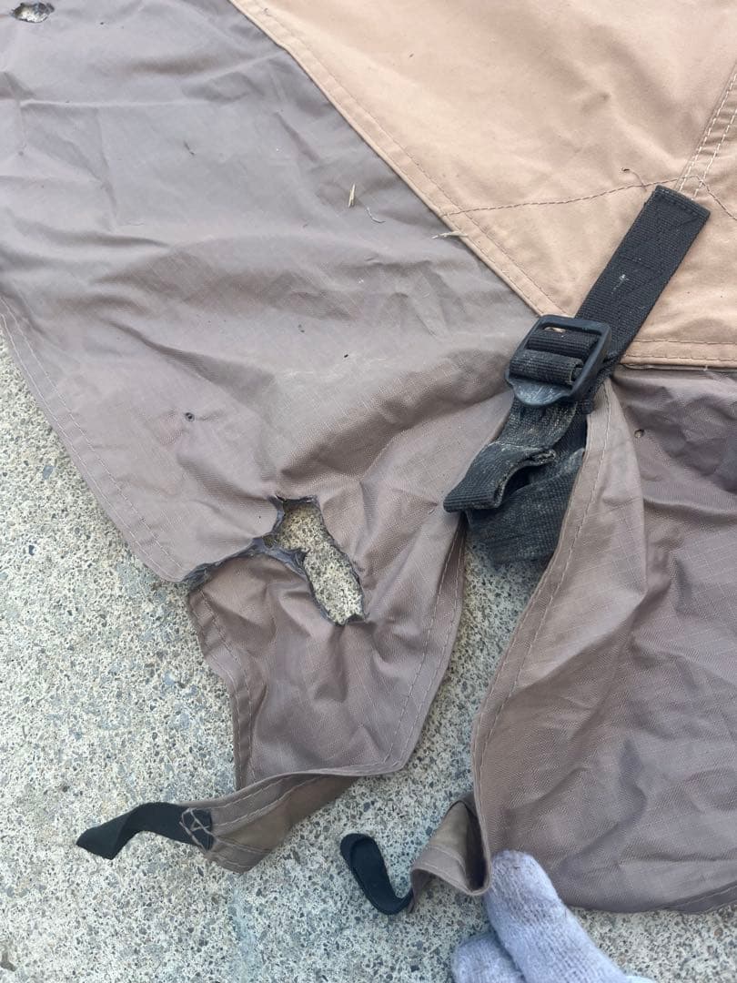 tent-Mark サーカスtc