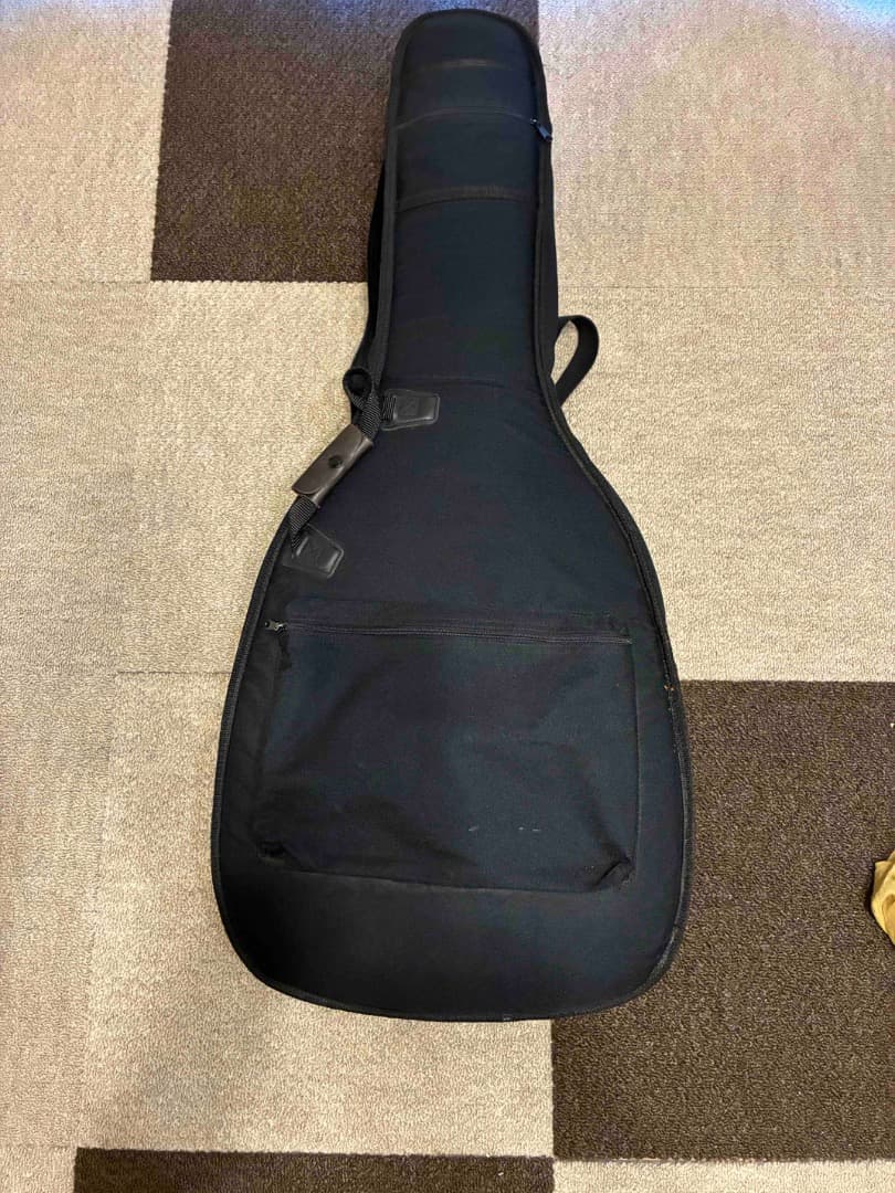 VISION リゾネーターギター　ドブロ　LEVY's高級ケース付き