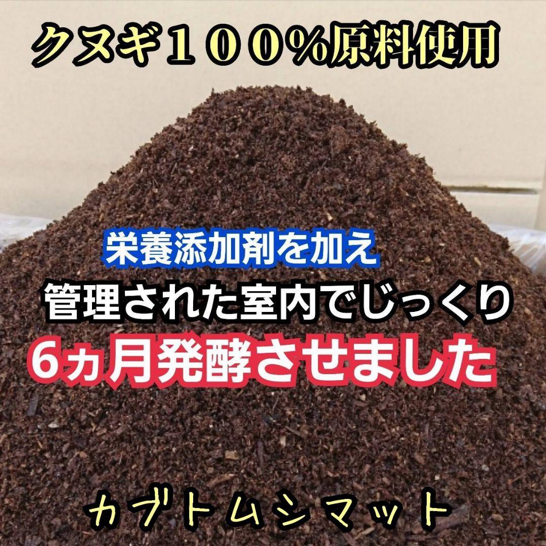発酵マット入り！国産カブトムシ幼虫1頭飼育専用縦長クリアボト【12本セット】