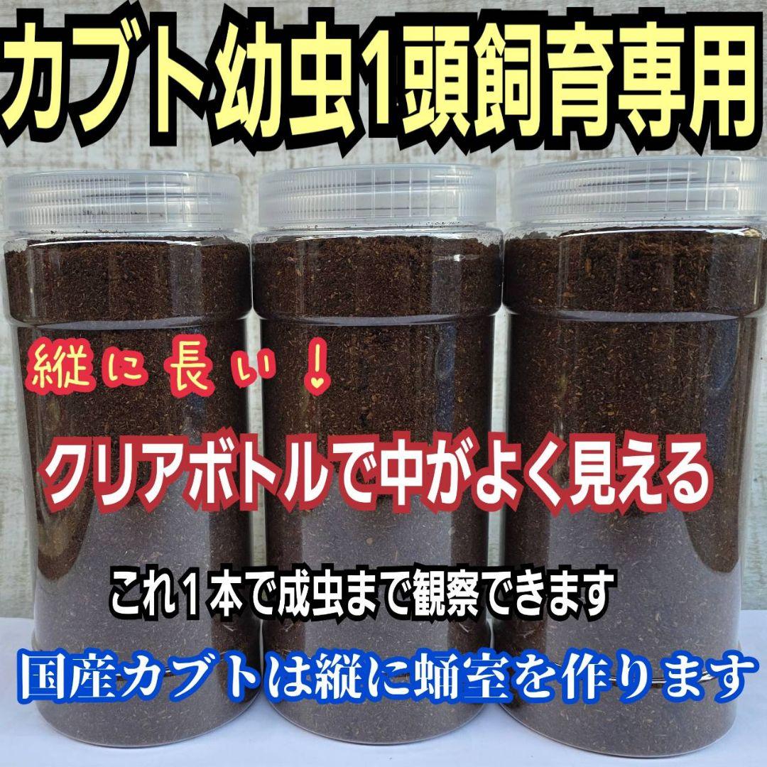 発酵マット入り！国産カブトムシ幼虫1頭飼育専用縦長クリアボト【12本セット】