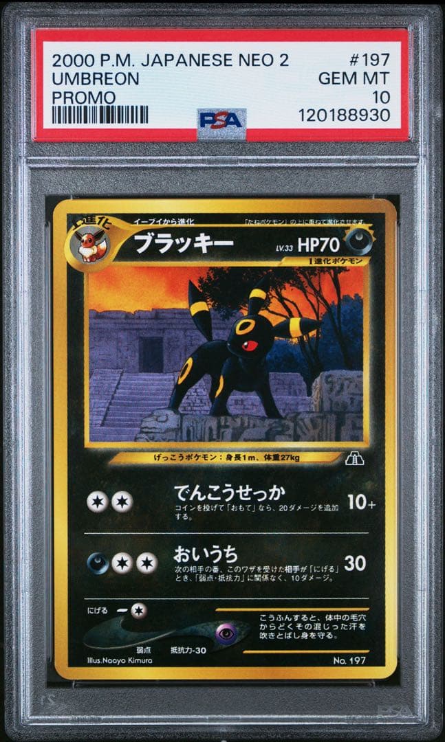 PSA10 ブラッキー 旧裏 プレミアムファイル2 プロモ