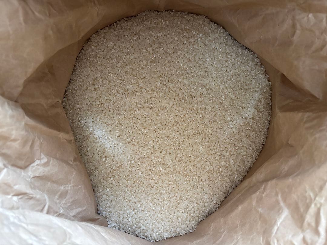 令和6年度 宮城県産 ひとめぼれ 約25kg 精米済