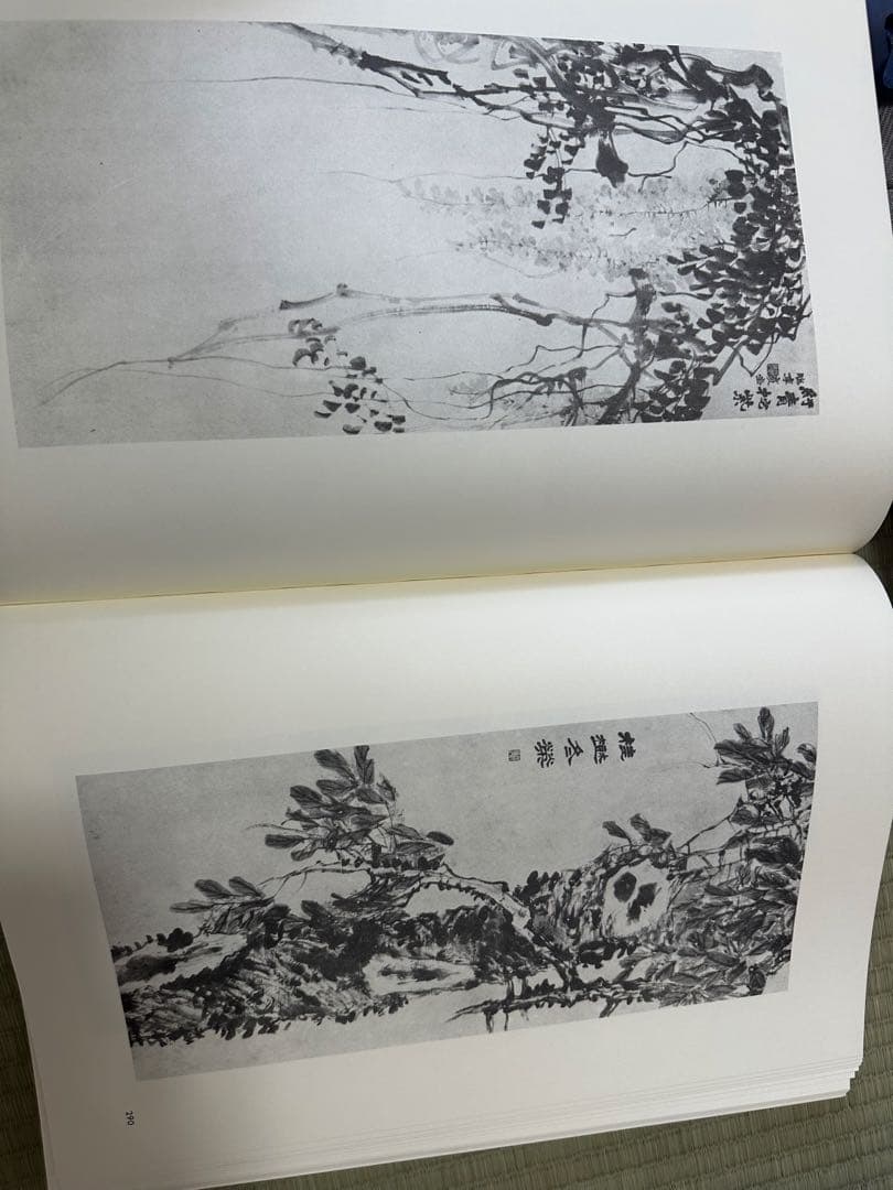 趙之謙　中国　骨董品　古美術品　掛け軸　書　出版物　巨大本　清朝　古書