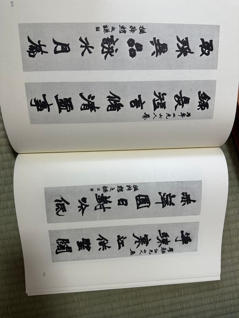 趙之謙　中国　骨董品　古美術品　掛け軸　書　出版物　巨大本　清朝　古書