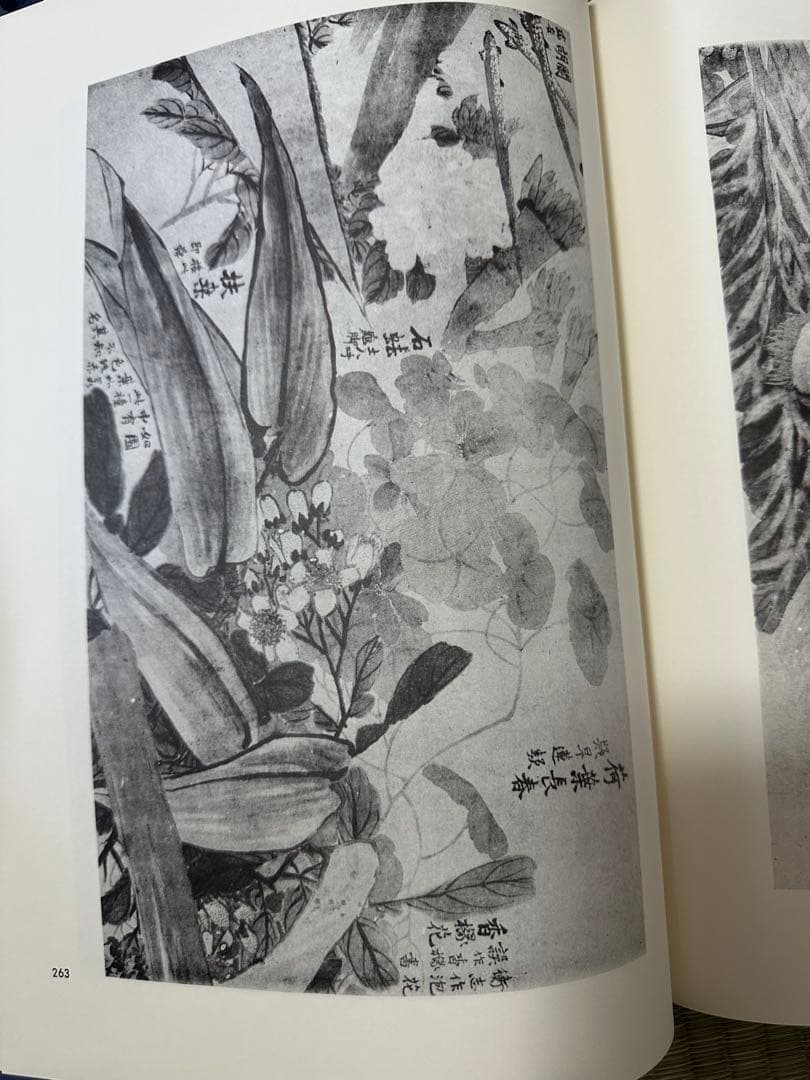 趙之謙　中国　骨董品　古美術品　掛け軸　書　出版物　巨大本　清朝　古書