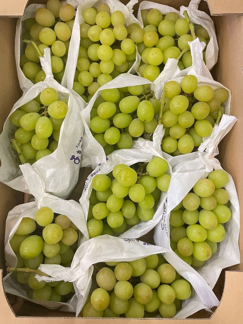 「週末セール」シャインマスカット5kg 房入り 訳あり ラスト