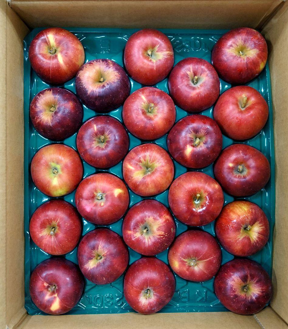 【ブー助★(プロフ必読)】