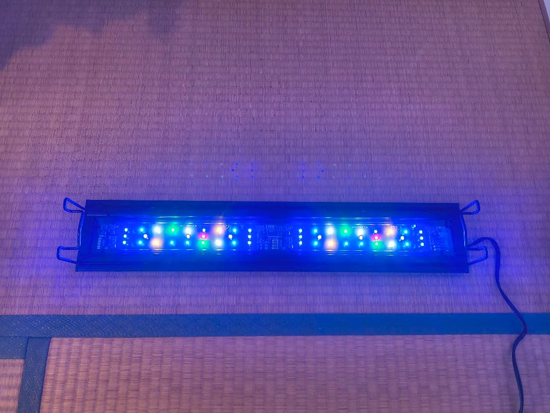 Grassy Wing2 60 Marine/グラッシーウィング2 60マリン