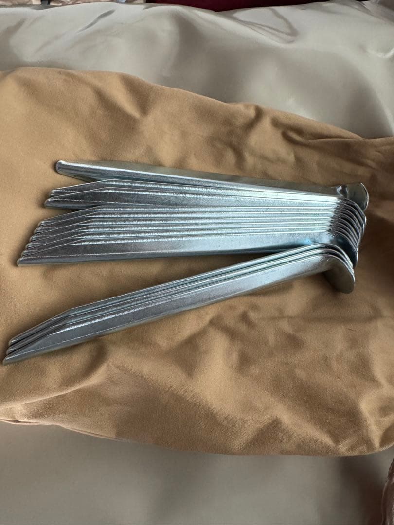 レア　karsten novia 試し張りのみ。