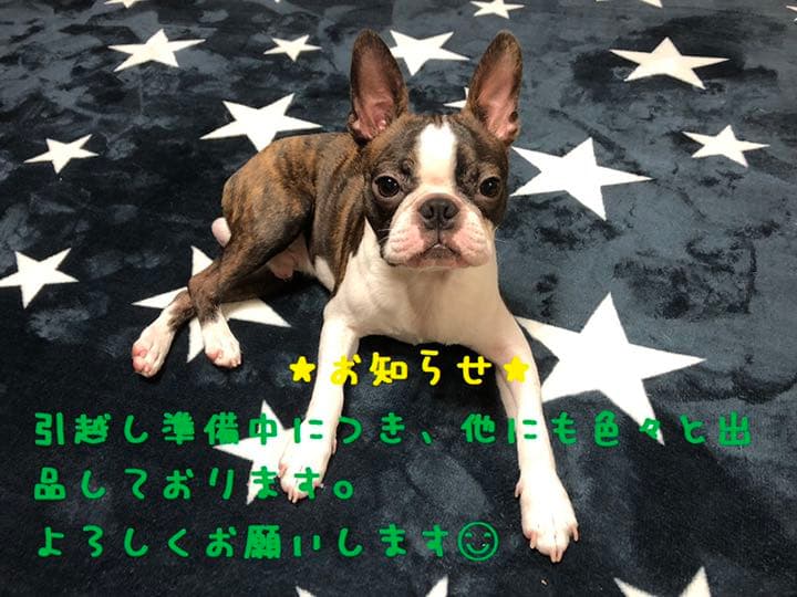 【鬼滅の刃】悲鳴嶼行冥アクリルキーホルダー【未使用】