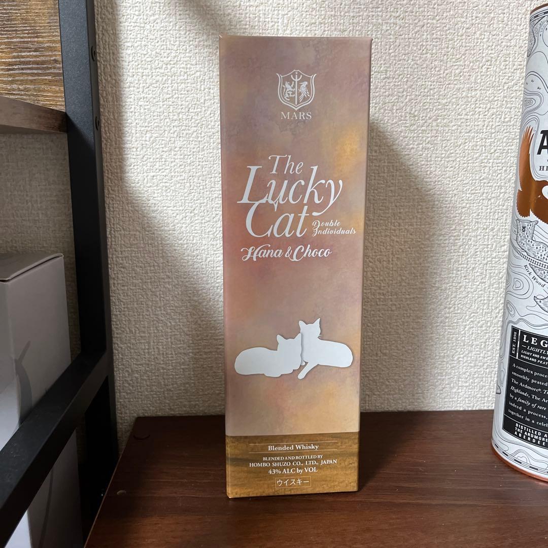 専用　ラッキーキャット　The Lucky Cat Hana & Choco