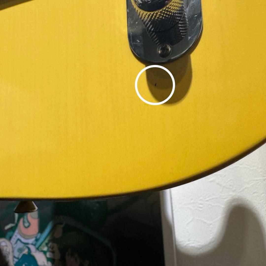 ギター KING SNAKE Okie Dokie T