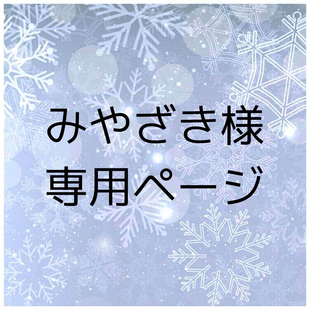 13日に確約した件です。