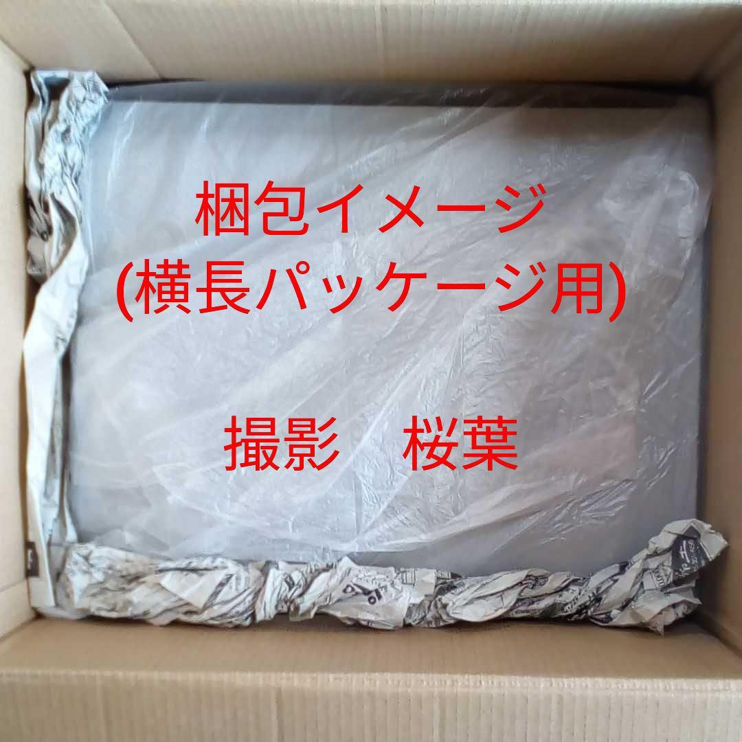 ガンプラ mg ガンダムエピオンEW シュトゥルム・ウント・ドラング装備