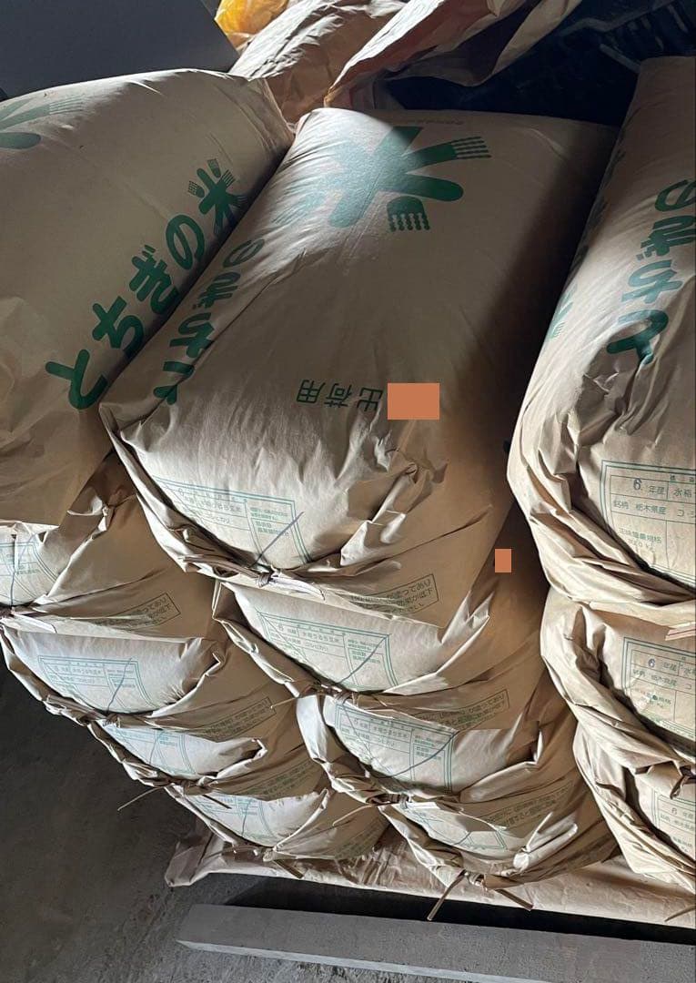 農家直送 栃木県産コシヒカリ 白米10ｋｇ