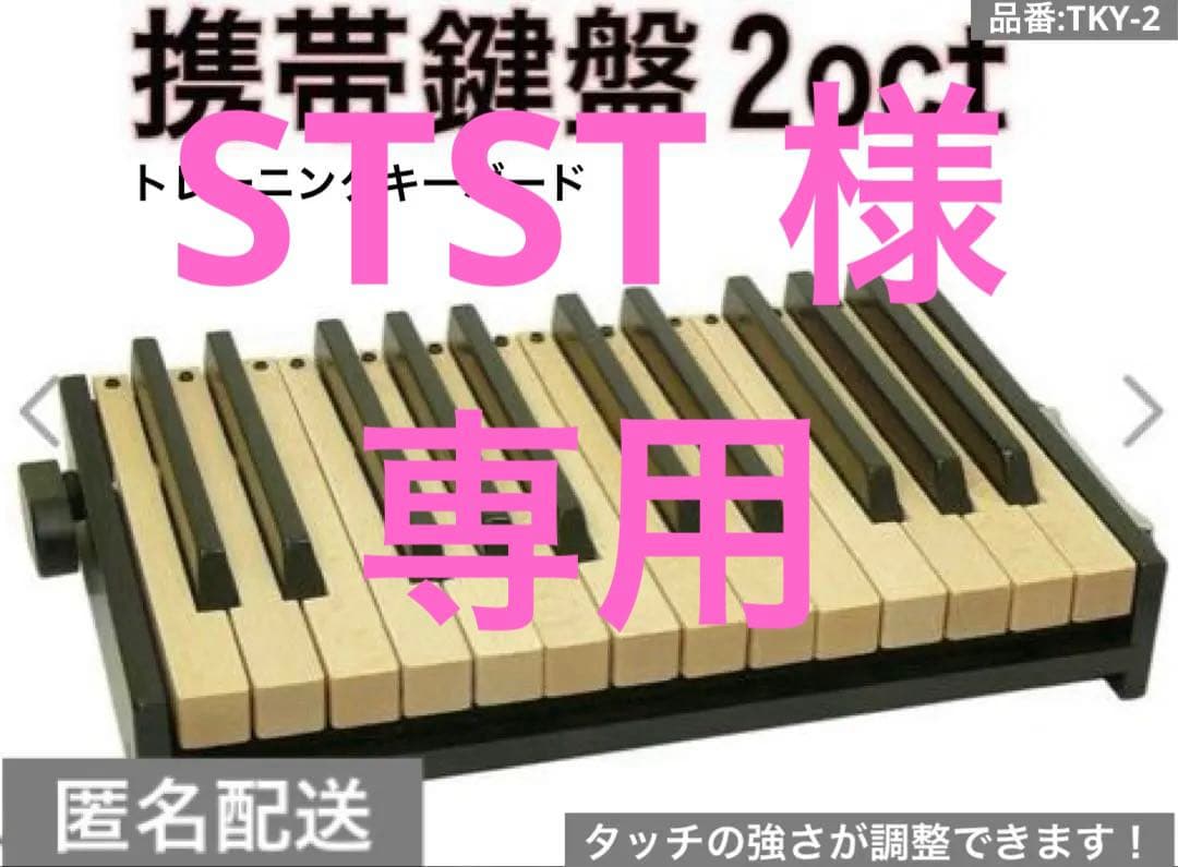 【匿名配送】トレーニングキーボード 携帯鍵盤2oct TKY-2