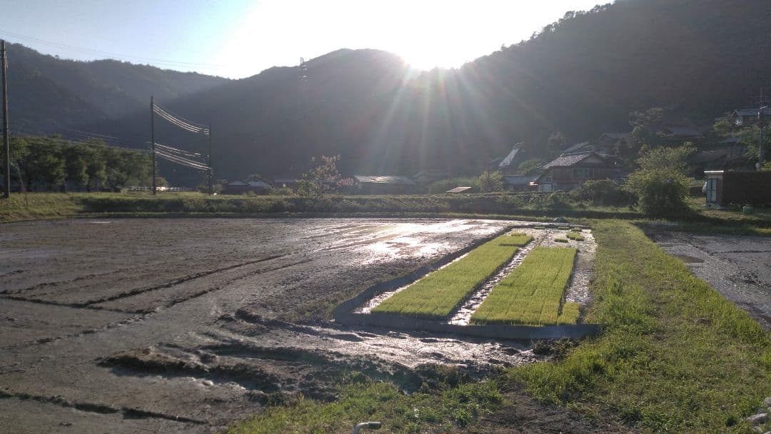 のんたん出品　【米粉 6.3kg = 900g✕7個】