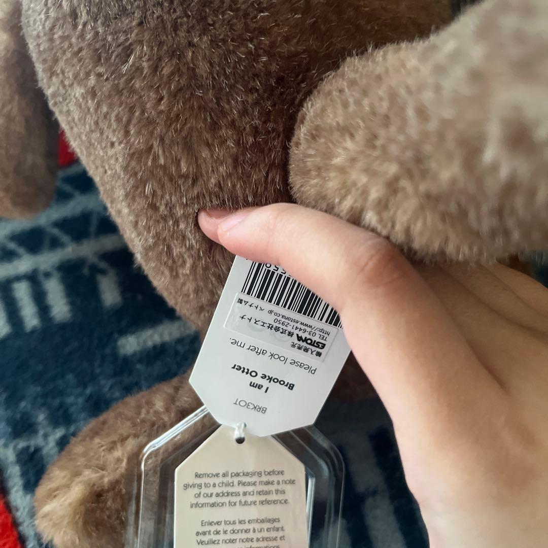  Brooke Otter カワウソ