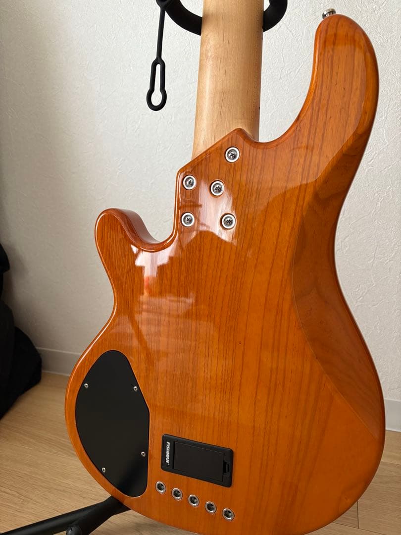 LAKLAND SL55-94DX 5弦　中古　美品