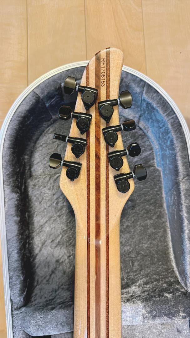 ギター MAYONES Regius8